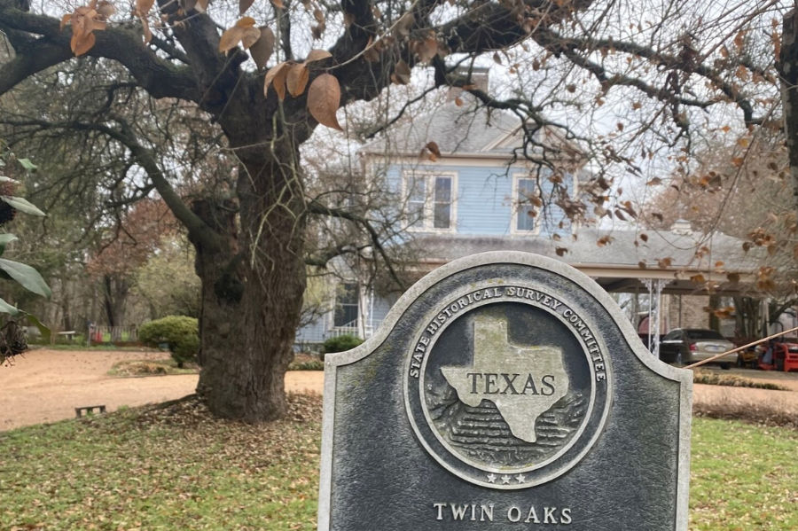 92: Icelandic Beer and Texas Trees